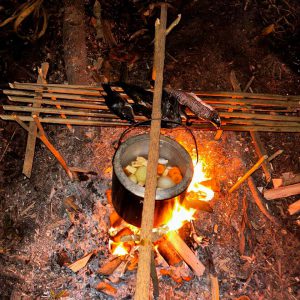 Survival Tours